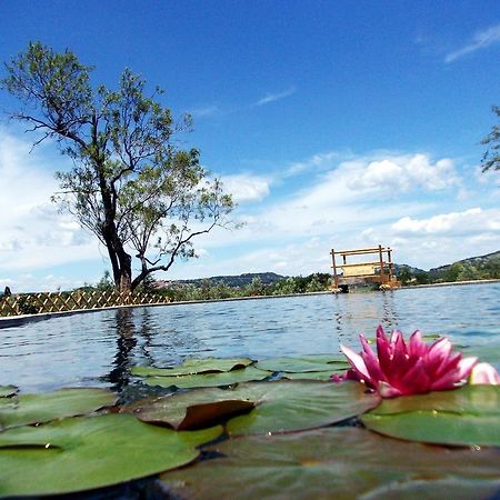Agriturismo Il Poderino ビッボーナ エクステリア 写真