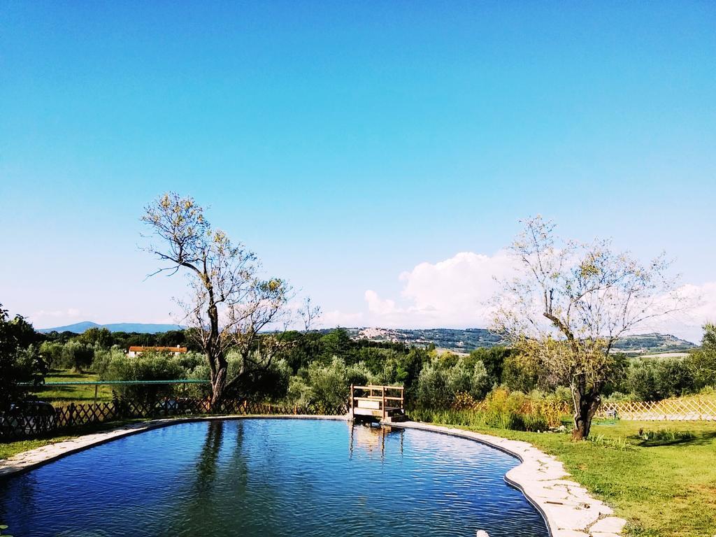 Agriturismo Il Poderino ビッボーナ エクステリア 写真