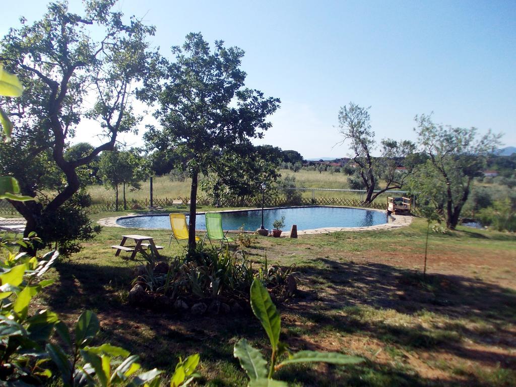Agriturismo Il Poderino ビッボーナ エクステリア 写真