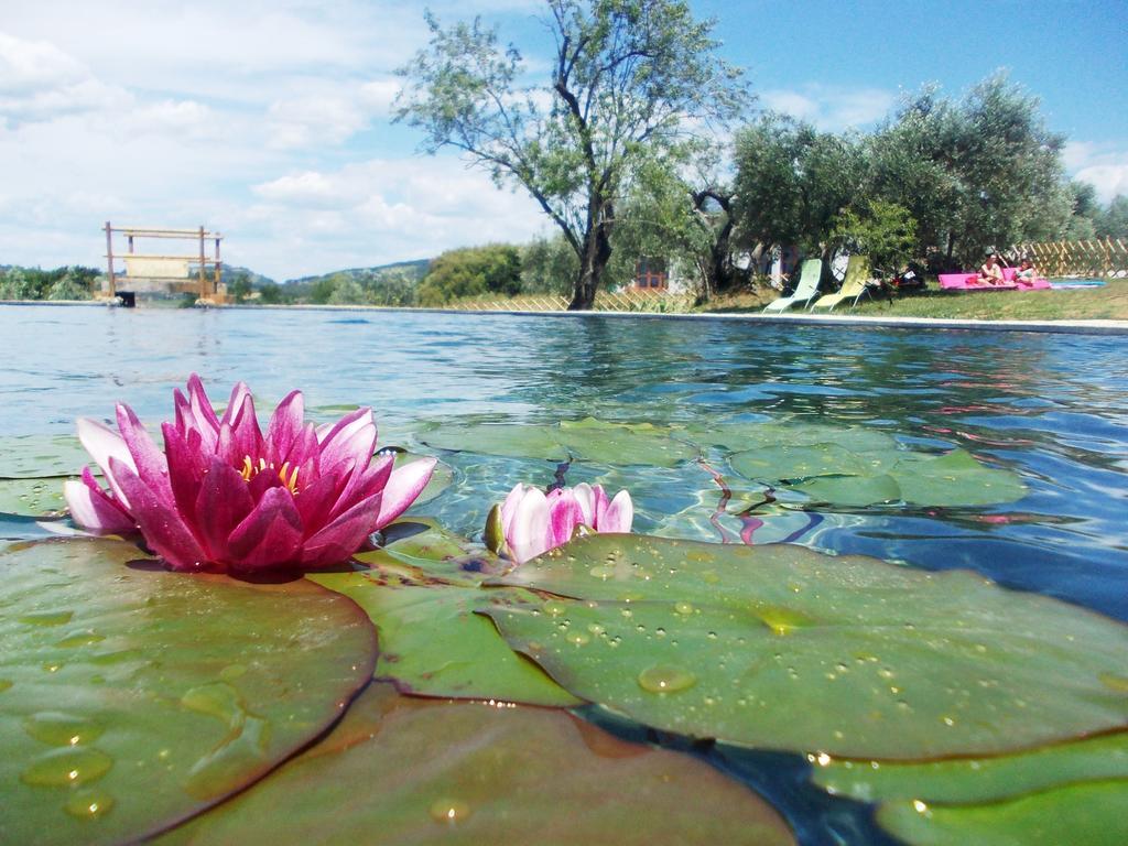 Agriturismo Il Poderino ビッボーナ エクステリア 写真
