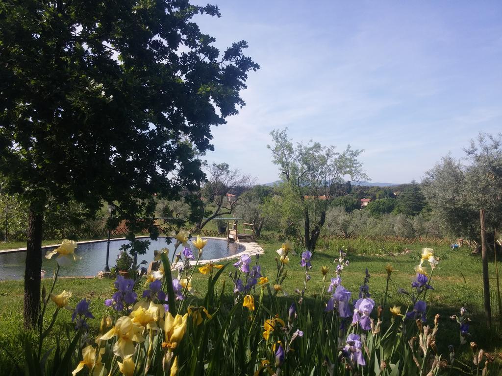 Agriturismo Il Poderino ビッボーナ エクステリア 写真