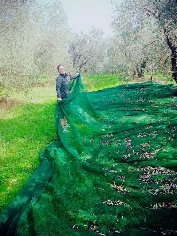 Agriturismo Il Poderino ビッボーナ エクステリア 写真